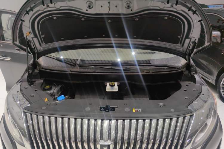 Used Wey Gaoshan 2025 Four-Wheel Drive Alpine 8 Engine Bay