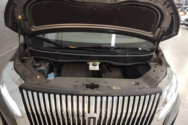 Used Wey Gaoshan 2025 Four-Wheel Drive Alpine 8 Engine Bay