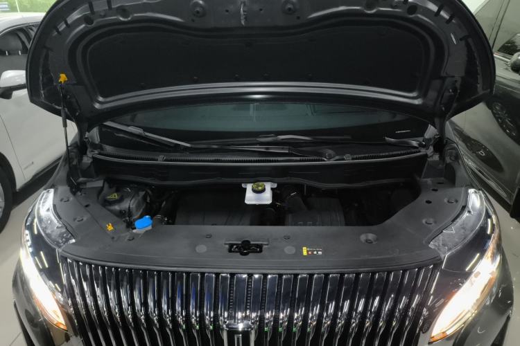 Used Wey Gaoshan 2025 Four-Wheel Drive Alpine 8 Engine Bay