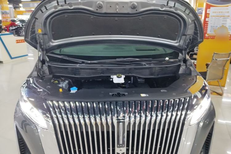 Used Wey Gaoshan 2025 Four-Wheel Drive Alpine 8 Engine Bay