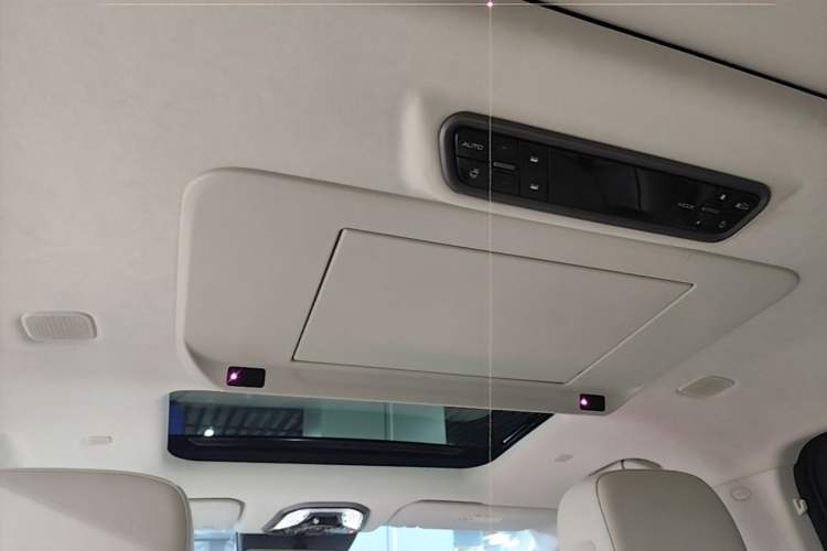 Used Wey Gaoshan 2025 Four-Wheel Drive Alpine 8 Headliner