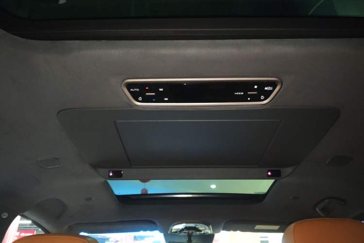 Used Wey Gaoshan 2025 Four-Wheel Drive Alpine 8 Headliner