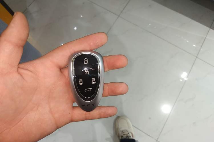 Used Wey Gaoshan 2025 Four-Wheel Drive Alpine 8 Interior 1