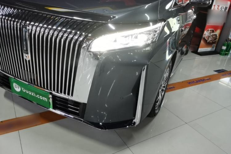 Used Wey Gaoshan 2025 Four-Wheel Drive Alpine 8 Left Front Headlight
