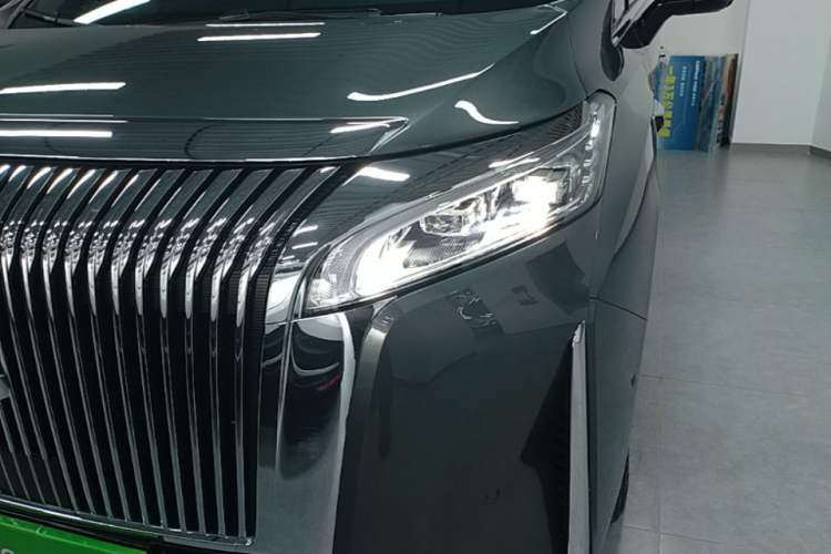 Used Wey Gaoshan 2025 Four-Wheel Drive Alpine 8 Left Front Headlight