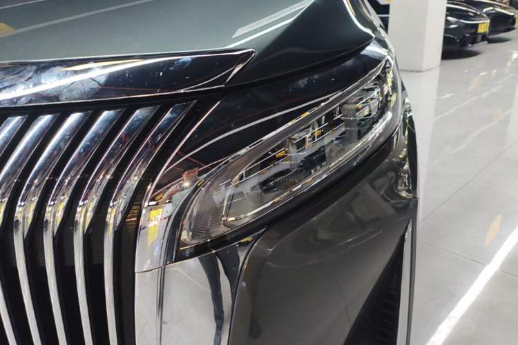 Used Wey Gaoshan 2025 Four-Wheel Drive Alpine 8 Left Front Headlight