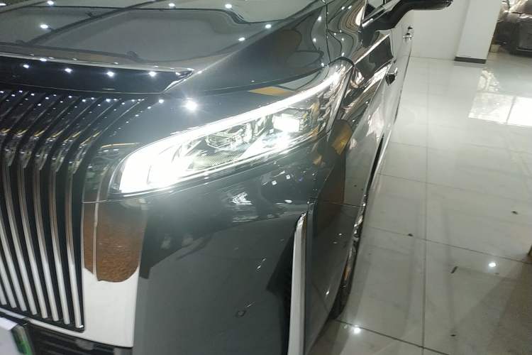 Used Wey Gaoshan 2025 Four-Wheel Drive Alpine 8 Left Front Headlight