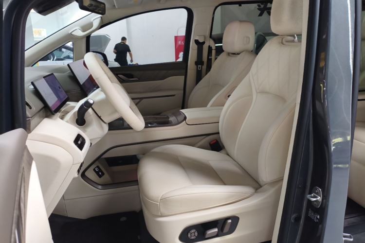 Used Wey Gaoshan 2025 Four-Wheel Drive Alpine 8 Left Front Seat