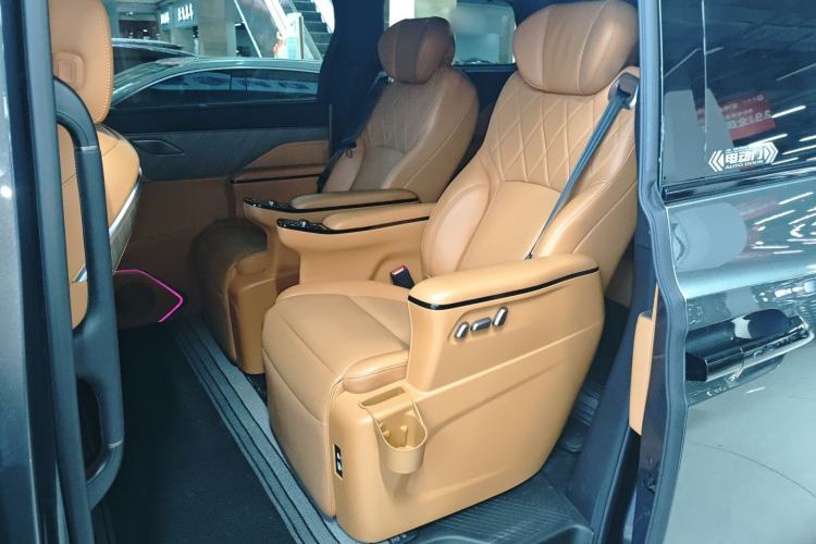 Used Wey Gaoshan 2025 Four-Wheel Drive Alpine 8 Left Rear Seat