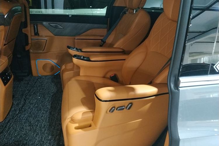 Used Wey Gaoshan 2025 Four-Wheel Drive Alpine 8 Left Rear Seat