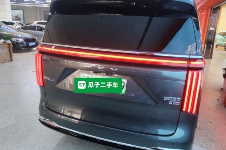 Used Wey Gaoshan 2025 Four-Wheel Drive Alpine 8 Rear