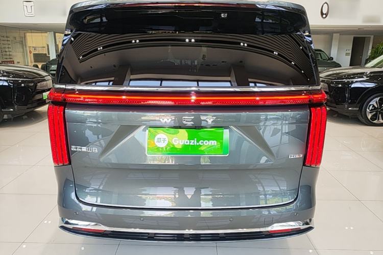 Used Wey Gaoshan 2025 Four-Wheel Drive Alpine 8 Rear