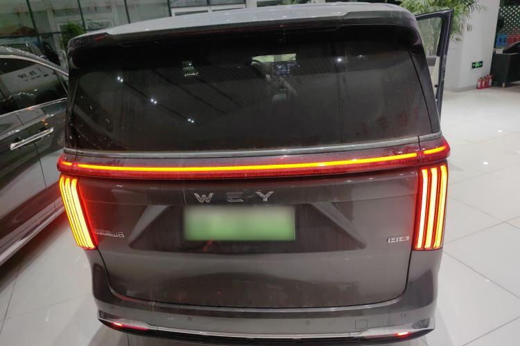 Used Wey Gaoshan 2025 Four-Wheel Drive Alpine 8 Rear