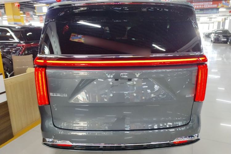 Used Wey Gaoshan 2025 Four-Wheel Drive Alpine 8 Rear