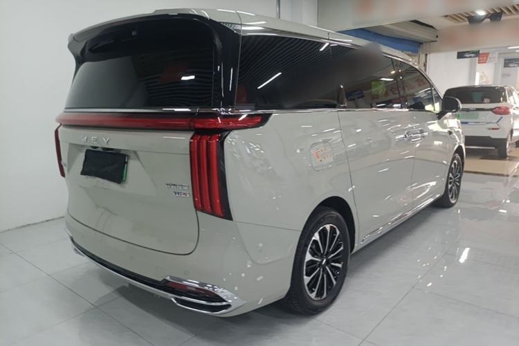 Used Wey Gaoshan 2025 Model Four-Wheel Drive Gao Shan 7 Rear Right 45 Deg