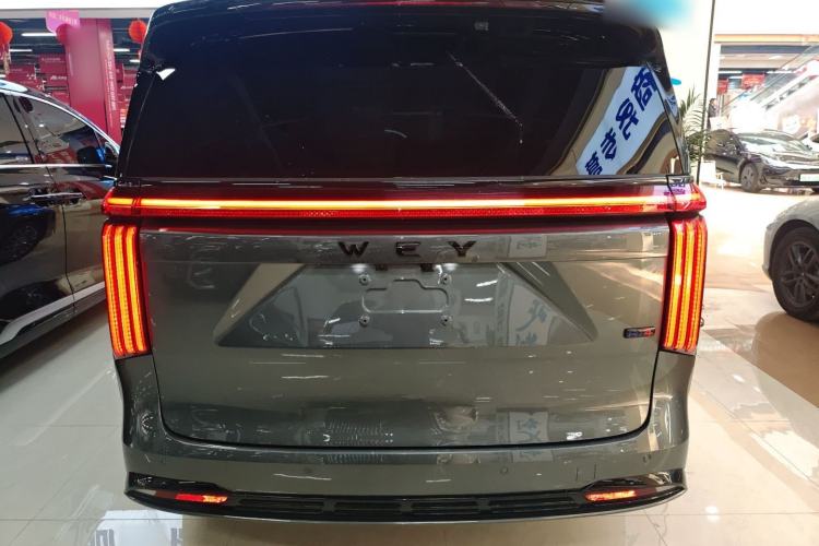 Used Wey Gaoshan 2025 Four-Wheel Drive Alpine 8 Rear