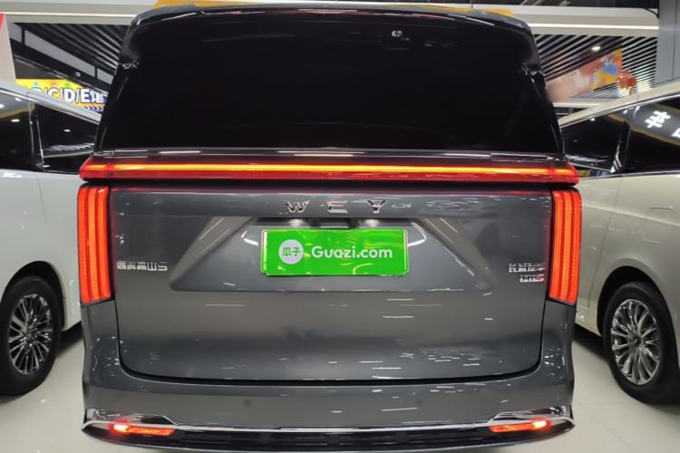 Used Wey Gaoshan 2025 Four-Wheel Drive Alpine 9 Rear