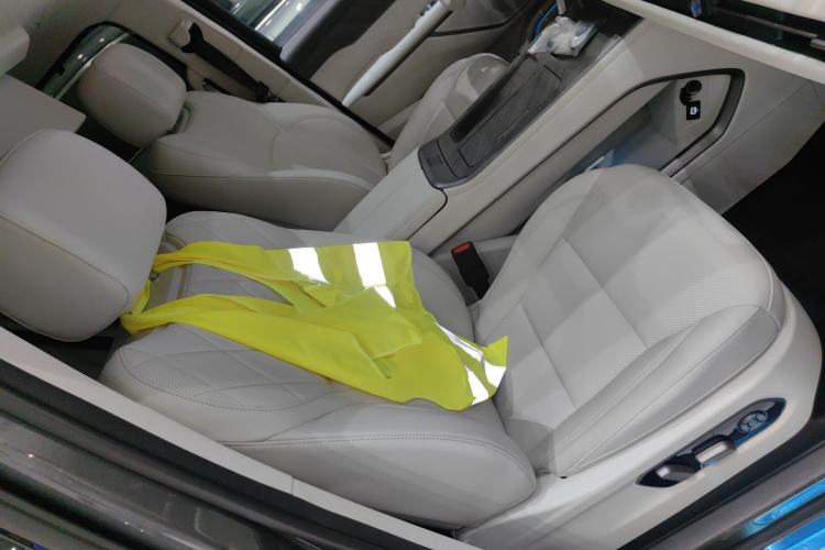 Used Wey Gaoshan 2025 Four-Wheel Drive Alpine 8 Right Front Seat