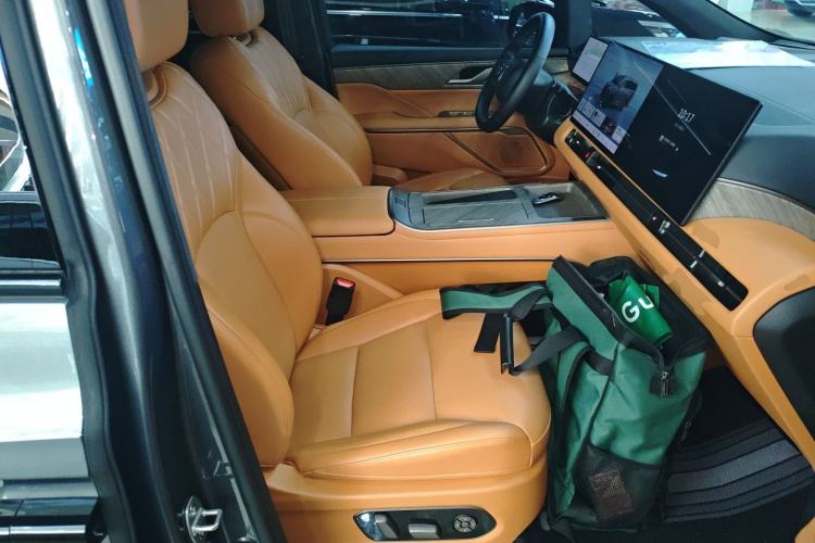 Used Wey Gaoshan 2025 Four-Wheel Drive Alpine 8 Right Front Seat