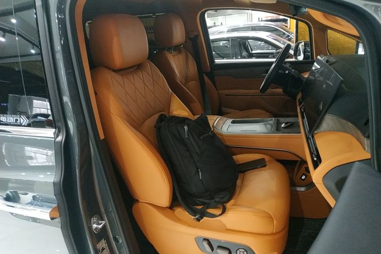 Used Wey Gaoshan 2025 Four-Wheel Drive Alpine 8 Right Front Seat