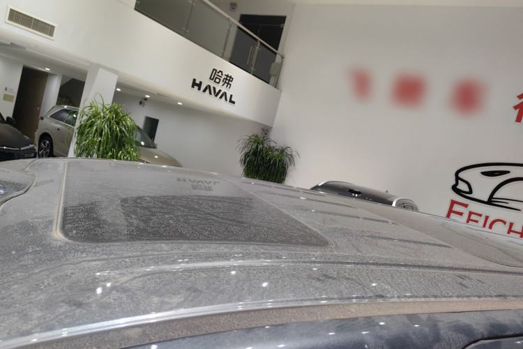 Used Wey Gaoshan 2025 Four-Wheel Drive Alpine 8 Roof