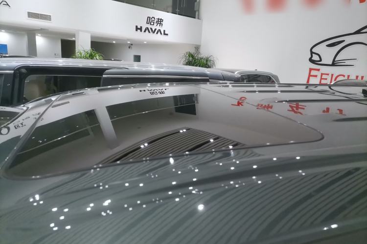 Used Wey Gaoshan 2025 Four-Wheel Drive Alpine 8 Roof