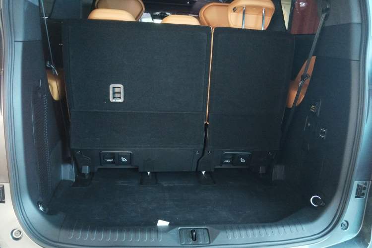 Used Wey Gaoshan 2025 Four-Wheel Drive Alpine 8 Trunk