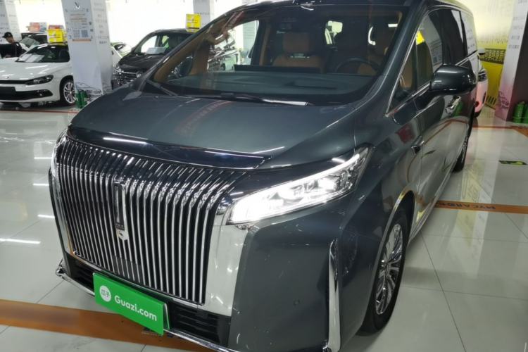 Wey Gaoshan 2025 Four-Wheel Drive Alpine 9