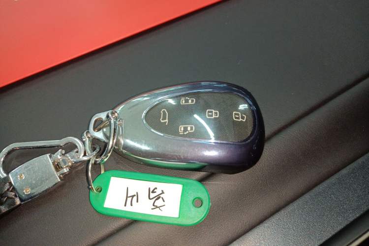 Used Wey Gaoshan 2025 Four-Wheel Drive Alpine 8 Vehicle Key