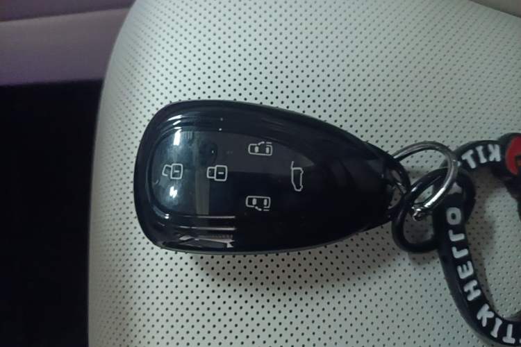 Used Wey Gaoshan 2025 Model Four-Wheel Drive Gao Shan 7 Vehicle Key