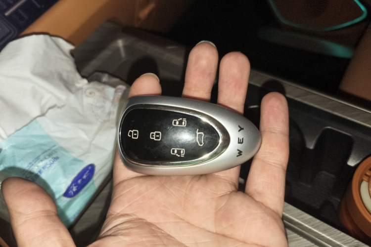 Used Wey Gaoshan 2025 Four-Wheel Drive Alpine 8 Vehicle Key