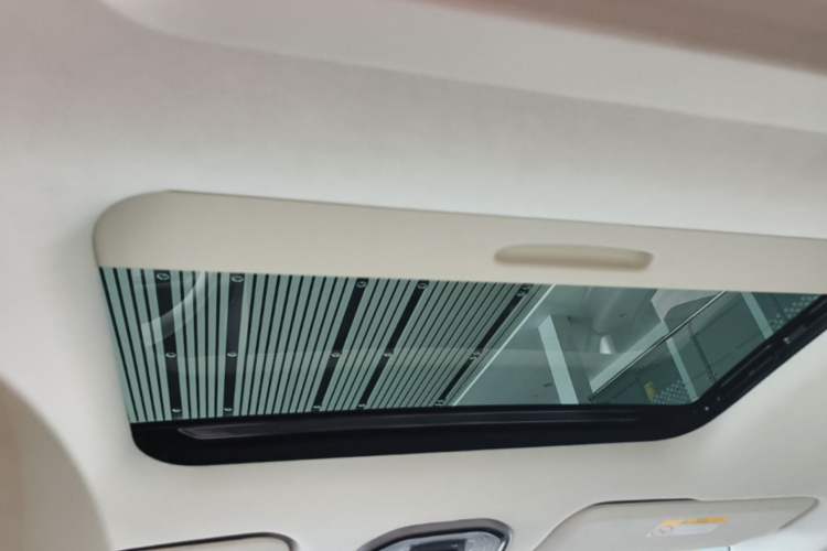 Used Wey Gaoshan 2025 Four-Wheel Drive Alpine 9 Headliner