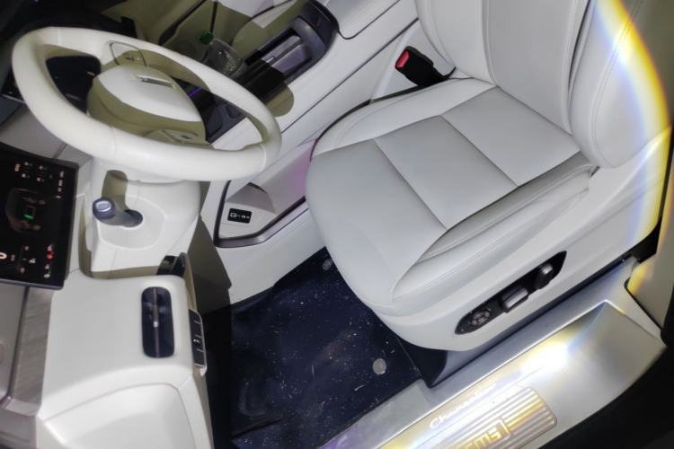 Used Wey Gaoshan 2025 Four-Wheel Drive Alpine 9 Left Front Seat