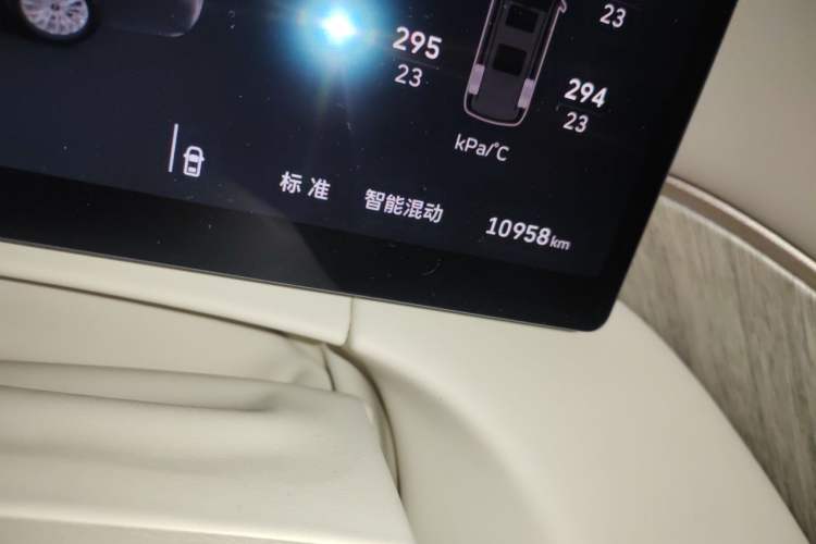 Used Wey Gaoshan 2025 Four-Wheel Drive Alpine 9 Odometer Close Up