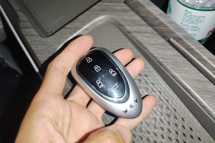Used Wey Gaoshan 2025 Four-Wheel Drive Alpine 9 Vehicle Key