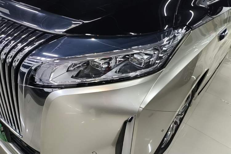 Used Wey Gaoshan 2025 Four-Wheel Drive Alpine 8 Left Front Headlight