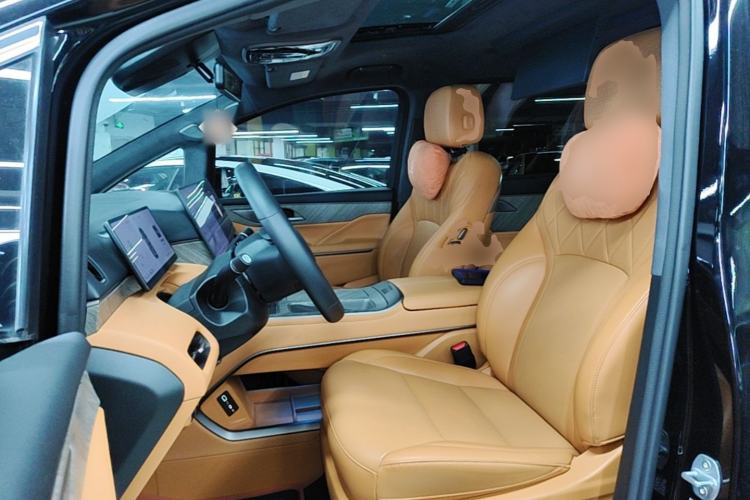 Used Wey Gaoshan 2025 Four-Wheel Drive Alpine 8 Left Front Seat