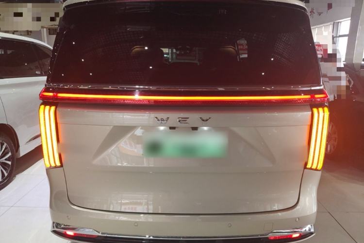 Used Wey Gaoshan 2025 Four-Wheel Drive Alpine 8 Rear