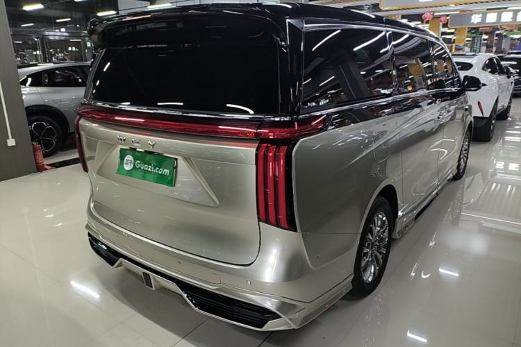 Used Wey Gaoshan 2025 Four-Wheel Drive Alpine 8 Rear Right 45 Deg