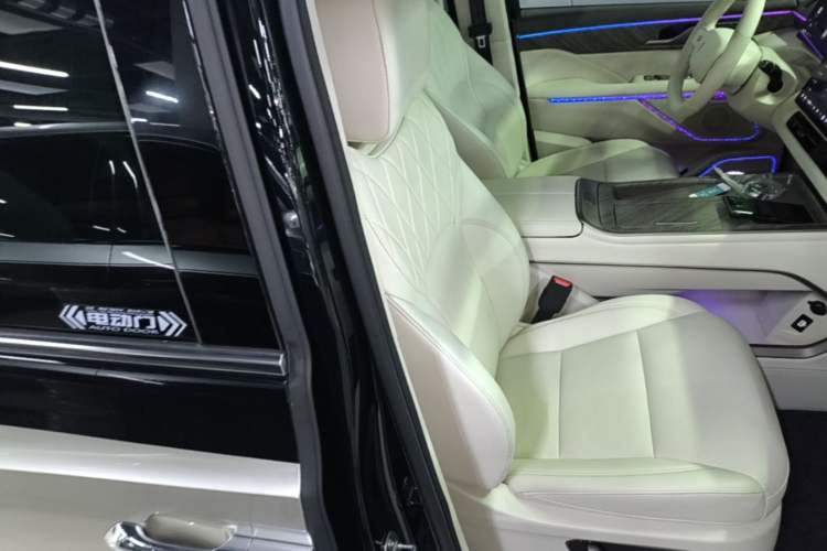 Used Wey Gaoshan 2025 Four-Wheel Drive Alpine 8 Right Front Seat