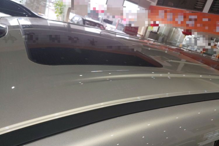 Used Wey Gaoshan 2025 Four-Wheel Drive Alpine 8 Roof