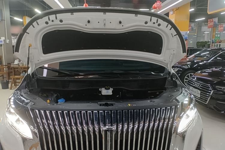 Used Wey Gaoshan 2025 Four-Wheel Drive Alpine 8 Engine Bay