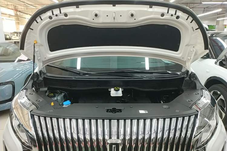 Used Wey Gaoshan 2025 Four-Wheel Drive Alpine 8 Engine Bay