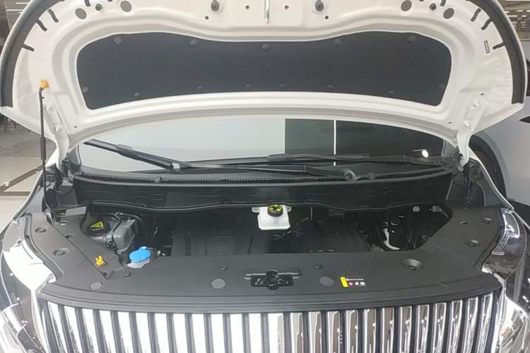 Used Wey Gaoshan 2025 Four-Wheel Drive Alpine 8 Engine Bay