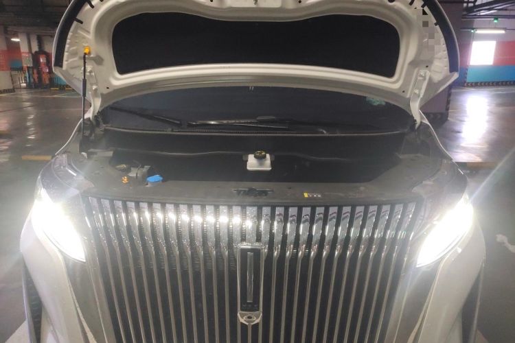 Used Wey Gaoshan 2025 Four-Wheel Drive Alpine 8 Engine Bay
