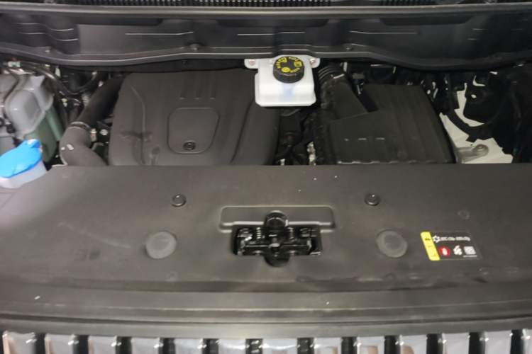 Used Wey Gaoshan 2025 Four-Wheel Drive Alpine 8 Engine Bay