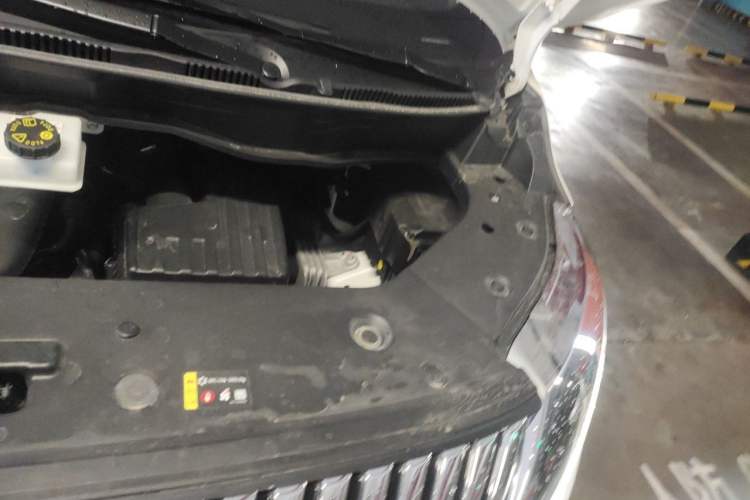 Used Wey Gaoshan 2025 Four-Wheel Drive Alpine 8 Engine Bay Left