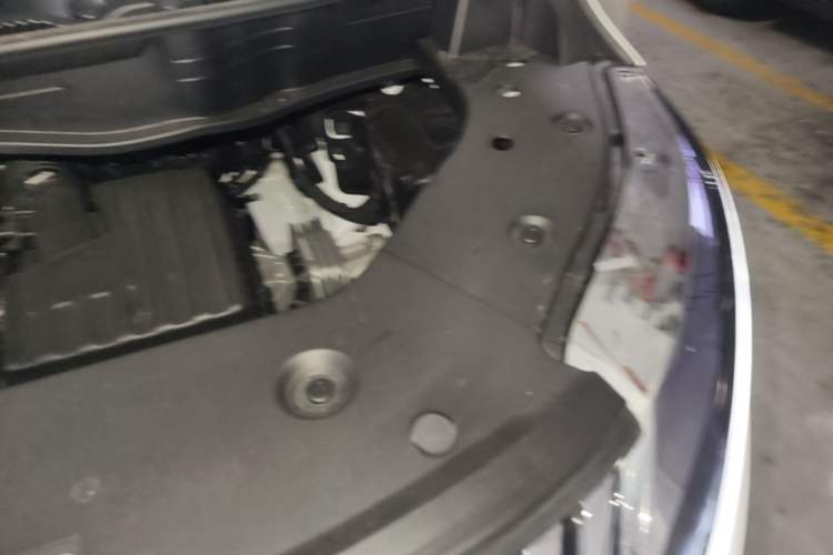 Used Wey Gaoshan 2025 Four-Wheel Drive Alpine 8 Engine Bay Left
