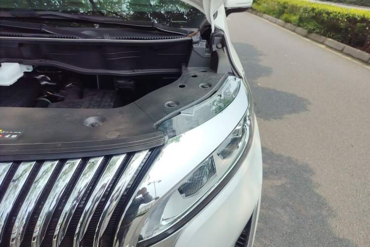 Used Wey Gaoshan 2025 Four-Wheel Drive Alpine 8 Engine Bay Left
