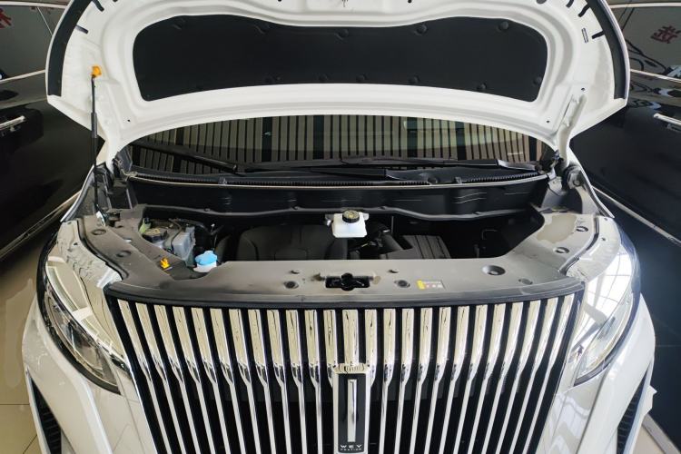 Used Wey Gaoshan 2025 Four-Wheel Drive Alpine 8 Engine Bay